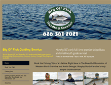 Tablet Screenshot of bigolfish.com
